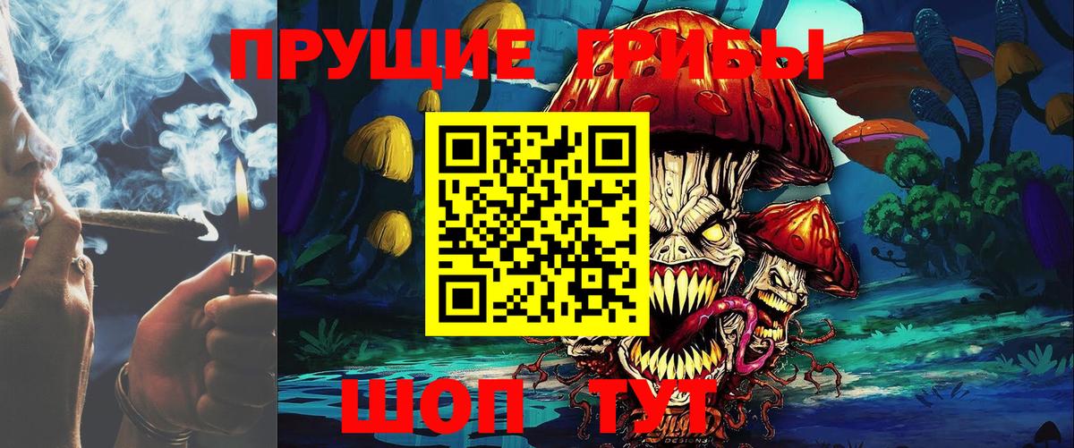 Черногорск  Галлюциногенные грибы прущие грибы  Вход с VPN 